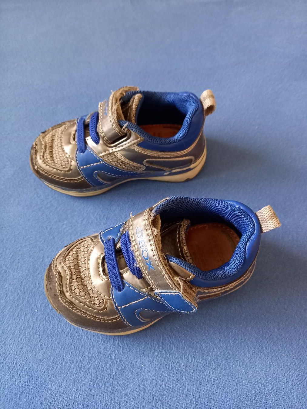 Geox Scarpe per ragazzi: Geox Turnschuhe Gr. 20 – Usato da Unterengstringen venduto da saraman 1