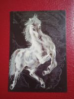 AK Kunst Tiere Hans Erni aufbäumender Schimmel