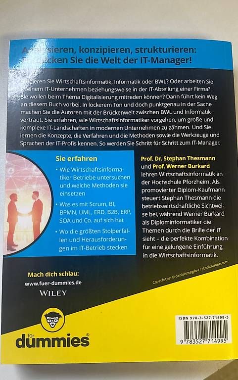 Libri: Wirtschaftsinformatik für dummies – Usato da Gwatt (Thun) venduto da Nixipixi5 2