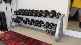 Matrix Hantelsränder mit Handhanteln 5bis50kg und gewichten