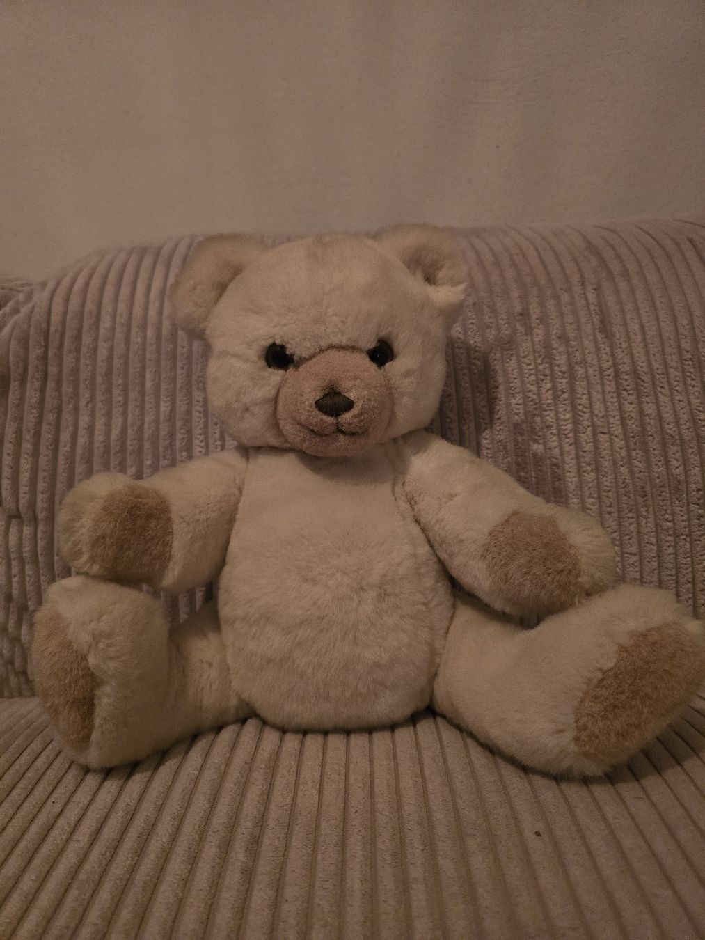 Steiff Giocattoli: Steiff Teddybär beige guter Zustand – Nuovo (secondo la descrizione) da Würenlos venduto da Lea.Maria.Hotz 1