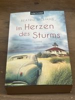 Buch: Im Herzen des Sturms