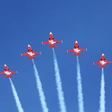 Profile image of Spm1