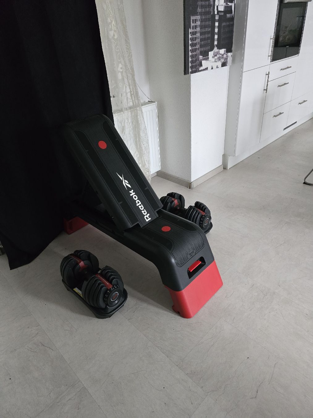 Bowflex Manubri & Pesi: Bowflex Hantelset – Usato da Derendingen venduto da S.Skorbi