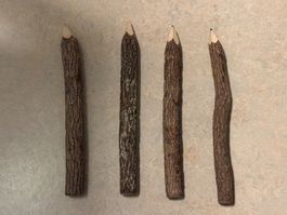4 Farbstifte Astform aus Holz naturbelassen