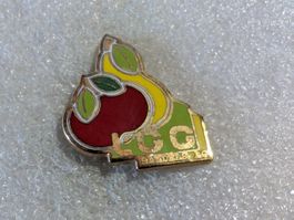 Ansteckpin 189: LGG Handels AG