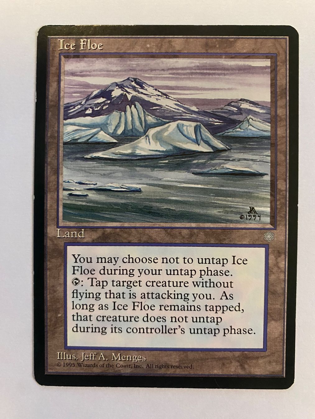 Magic The Gathering Carte collezionabili: Ice Floe - Ice Age – Usato da Bonstetten venduto da ddiederichs