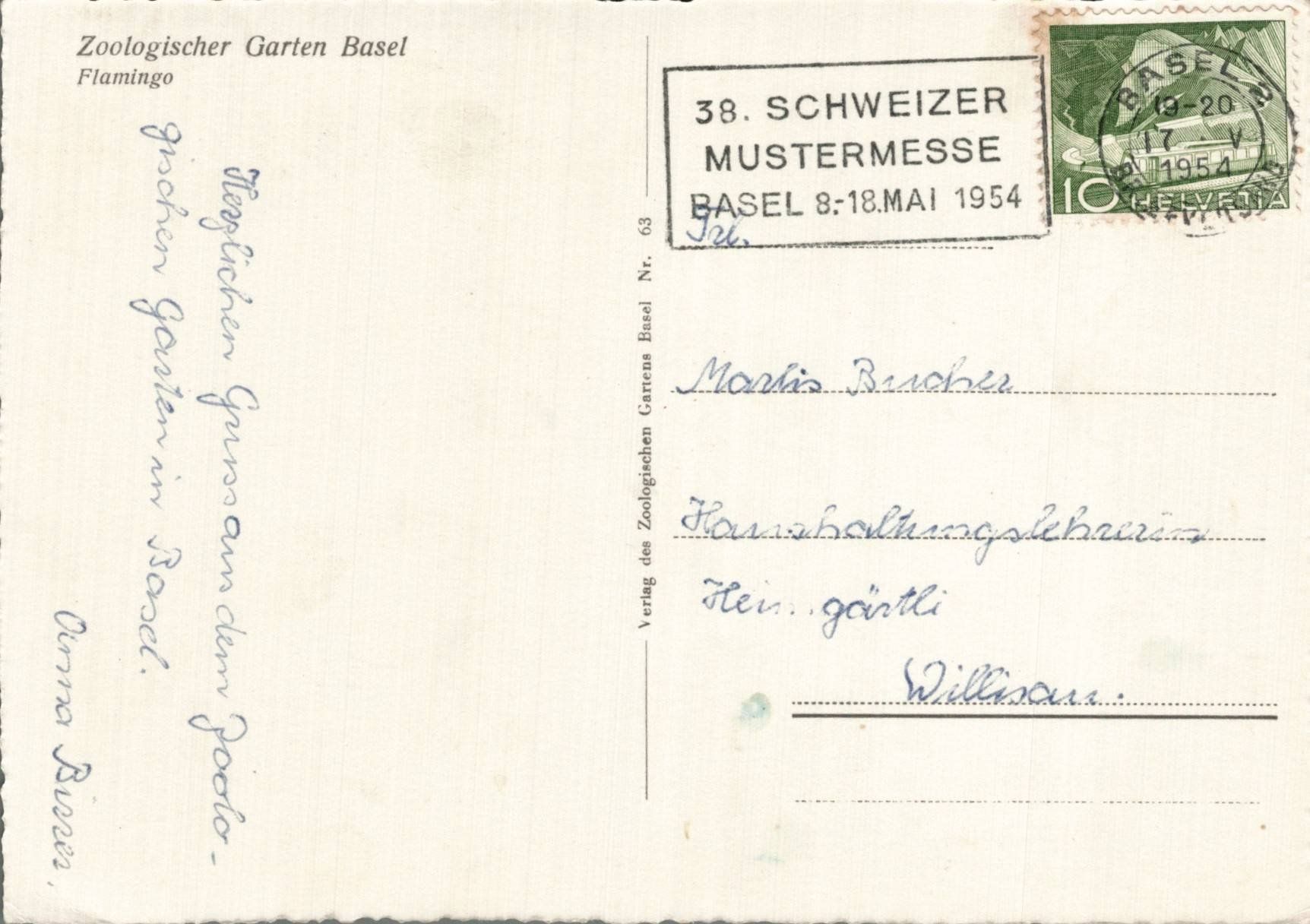 Cartoline postali: Alte Ansichtskarte Zoo Basel Flamingo, 1954. – Usato da Oberkirch LU venduto da sa_kr 1