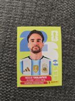 Panini ARG 6