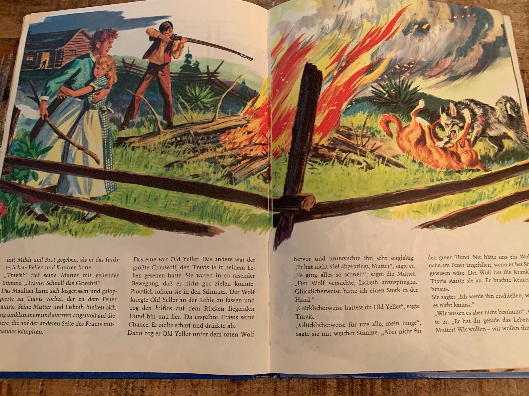 Libri: Walt Disneys Wunderbare Welt Abendteuer – Usato da Regensdorf venduto da Spyke55 3
