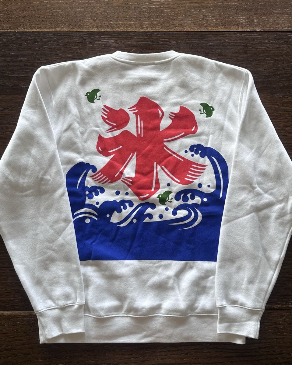 Pulls & Sweat-shirts: Cozy Pullover – Neuf avec emballage d'origine à Zürich par davozn 1