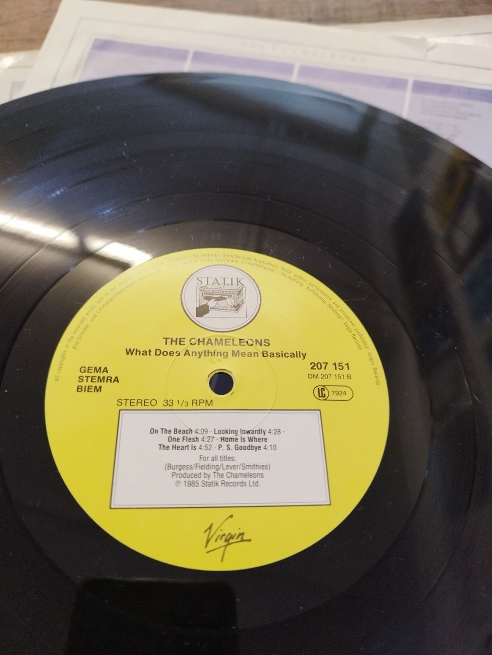 Dischi in vinile: The Chameleons - What Does Anything Mean? - Vinyl – Usato da Lupfig venduto da fred-feuerstein 3