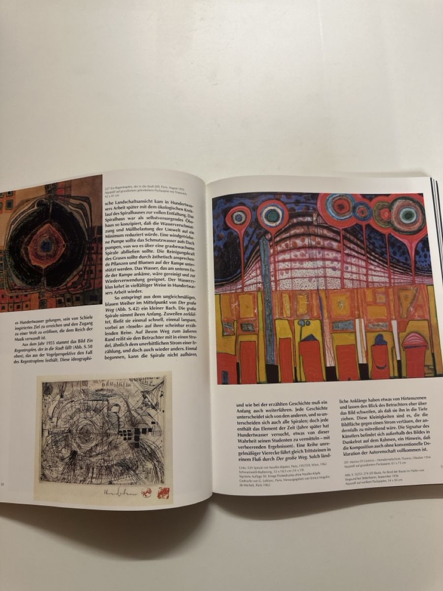 Livres: Hundertwasser Harry Rand Buch – Neuf (Voir description) à Winterthur par aod_hsv7 1