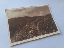 SOMMER im PRAETTIGAU - HEIMAT - 1926