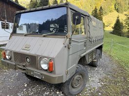 Pinzgauer günstig zu verkaufen