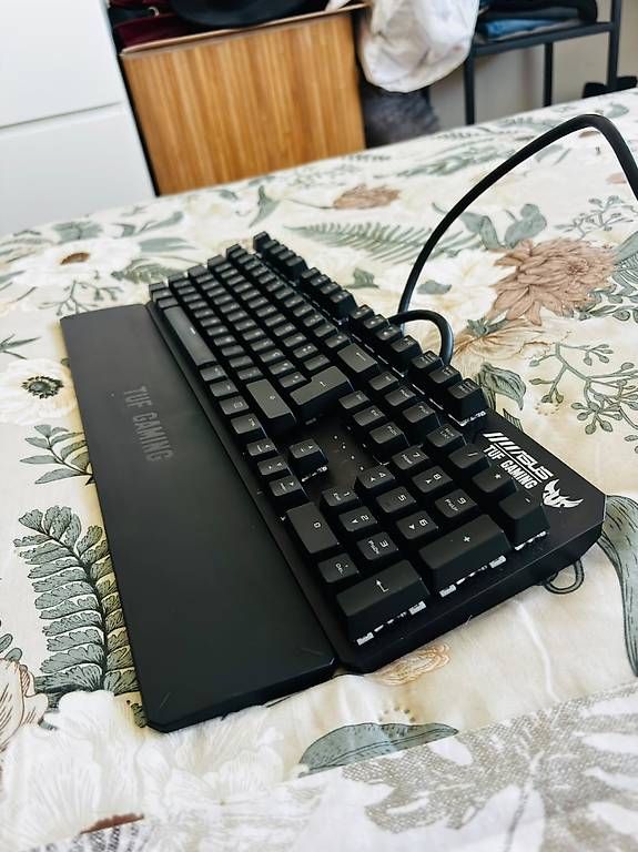 Tastiere: Clavier ASUS  – Usato da Bevaix venduto da pat_pn9c