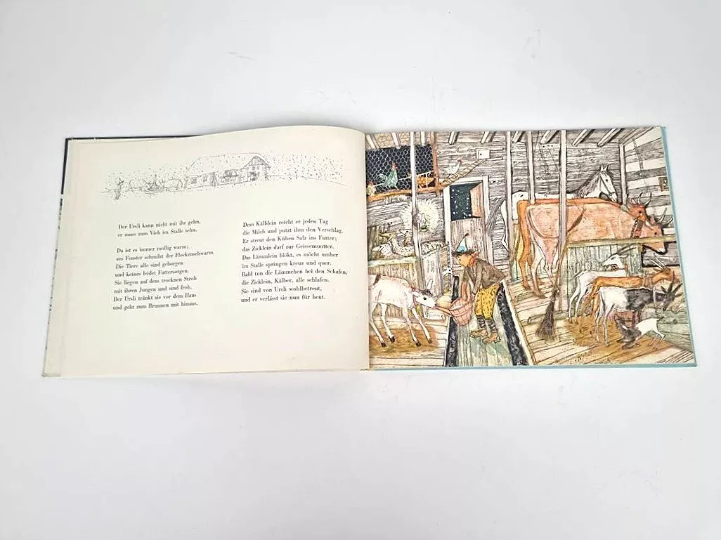 Libri: Buch  ,,Der grosse Schnee'' – Usato da Urtenen-Schönbühl venduto da Restwert_Schoenbuehl 2