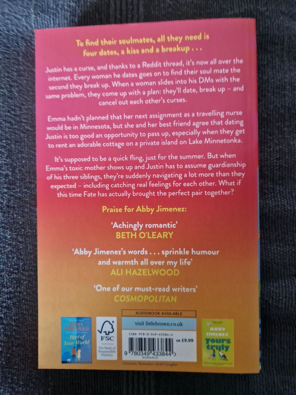 Livres: Abby Jimenez "Just for the Summer" Bestseller – D'occasion à Neuhausen am Rheinfall par Alchimista 1