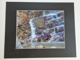 Wunderschöne Fotografie von Seeweidfall in Freiburg