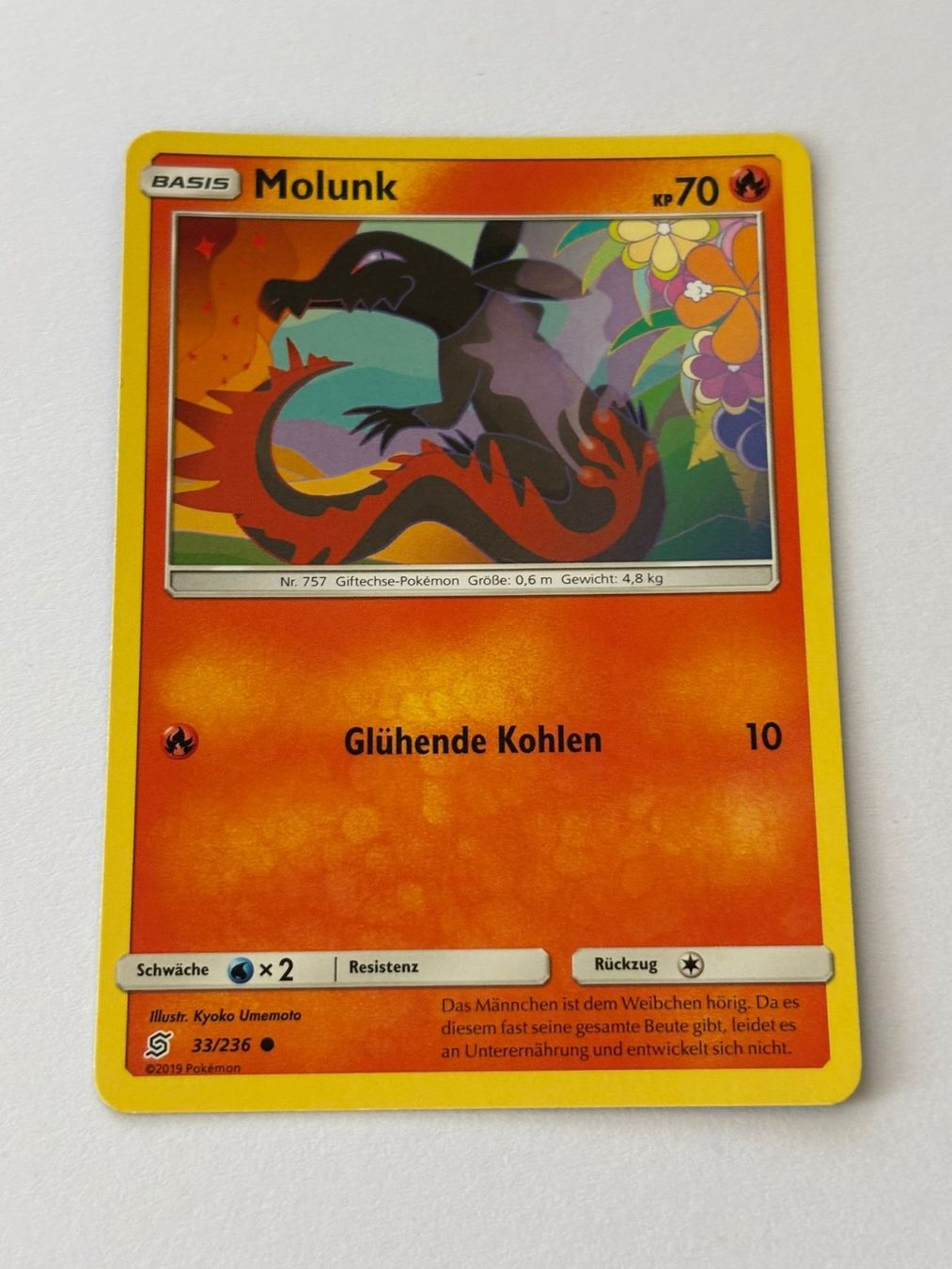 Pokémon Carte collezionabili: Pokemon-Karte Molunk 33/236 – Usato da Herisau venduto da Seyashop1