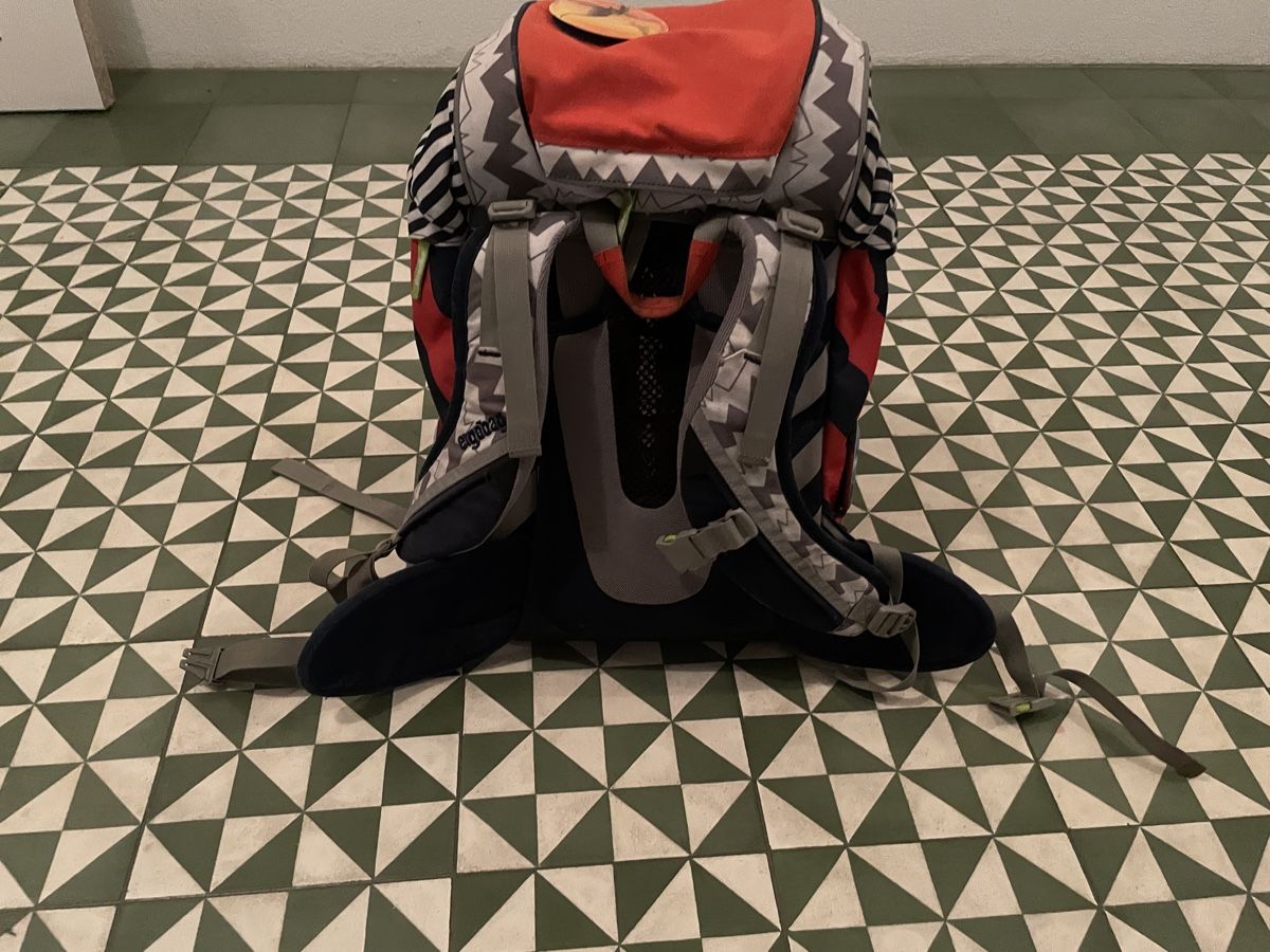 Ergobag Borse & Zaini: Ergobag Schulrucksack Set mit Turntasche und 2 Kletties – Usato da Stans venduto da General_Bubu 2