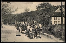 AK Aarau, 1. Aargauische kantonale Landwirtschaftliche Ausst