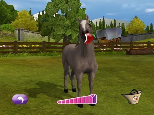 Nintendo Giochi: Ponie Freunds Shetland Ponys DS – Usato da Schüpfheim venduto da Games_Spielkonsolen 4