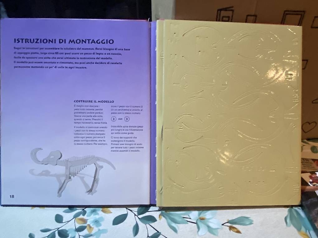 Bücher: 3 libri sui dinosauri + libro con scheletro mammut – Gebraucht aus Castel San Pietro von sab_lj2d 2
