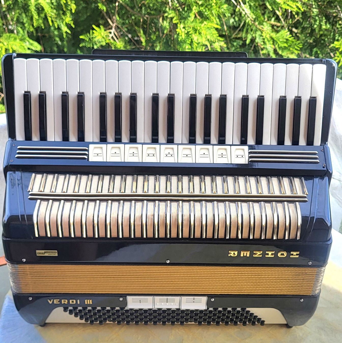 Strumenti musicali: Accordéon hohner Verdi III  – Usato da Penthalaz venduto da EvandroLuz