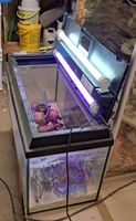 Aquarium 110 Liter