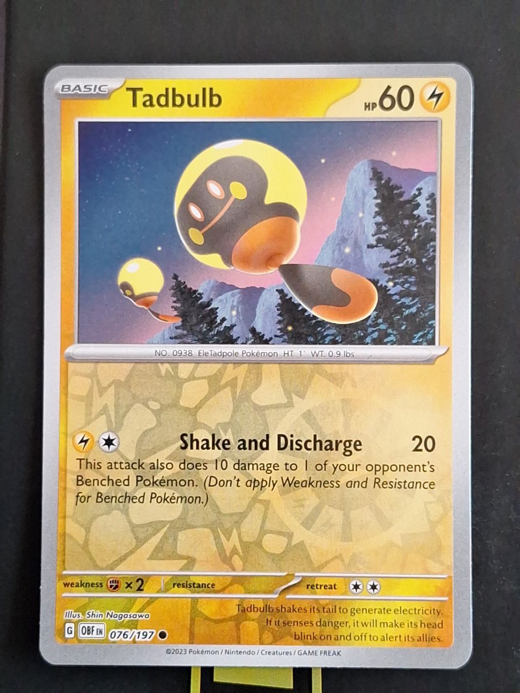 Pokémon Carte collezionabili: Tadbulb - Pokemon Reverse Holo Obsidian Flames – Usato da Altstätten SG venduto da GGsGameshop