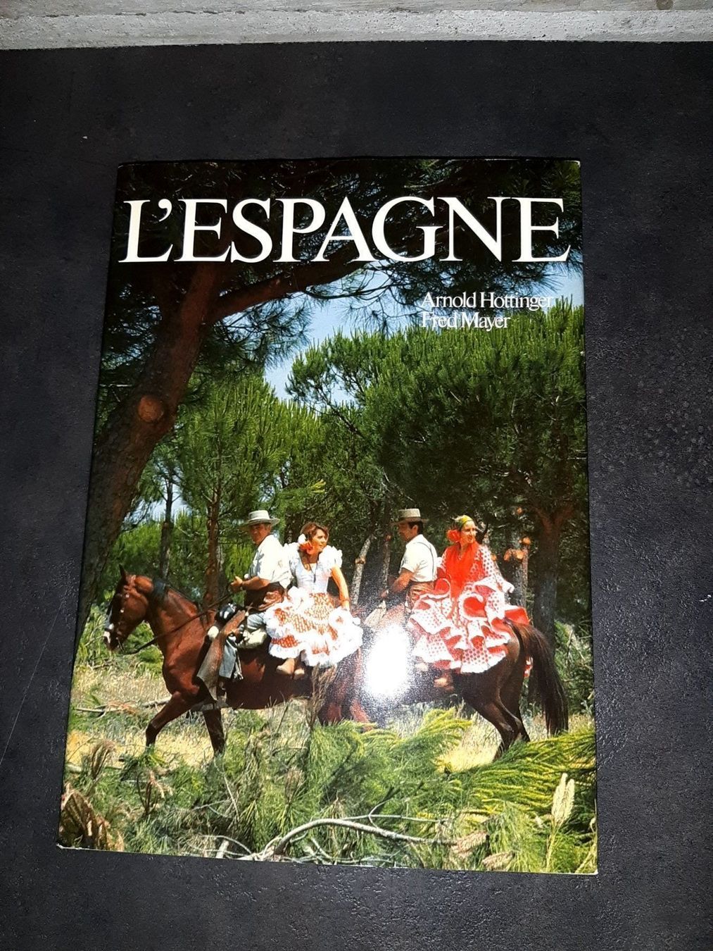 Libri: L'espagne – Usato da Le locle venduto da juliensaran