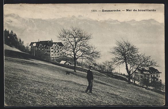 Cartes postales: AK Baumaroche, Mer de brouillards, 1907 – D'occasion à Berlin par bartko-reher