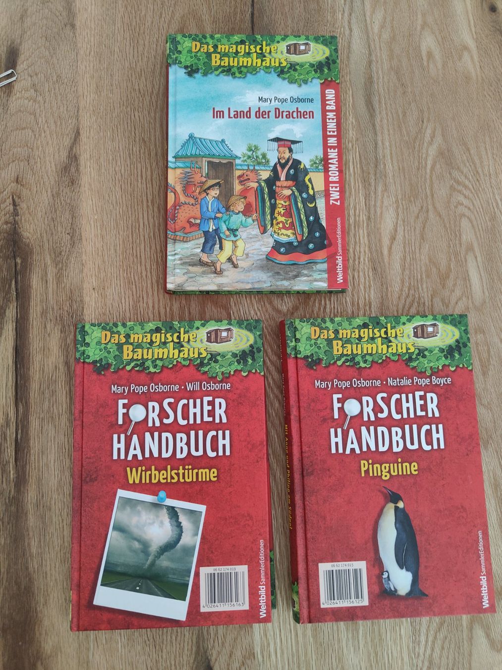 Bücher: 3 Bücher Das magische Baumhaus – Neu (gemäss Beschreibung) aus Möriken AG von Tigerente12 1