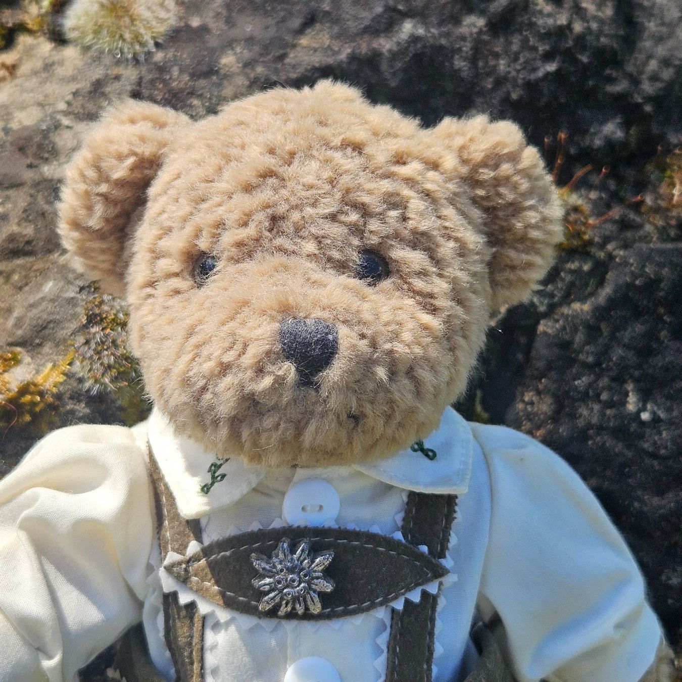 Giocattoli: Teddybär – Nuovo (secondo la descrizione) da Uster venduto da Sonnenblume212 4