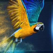 Profile image of Premium21