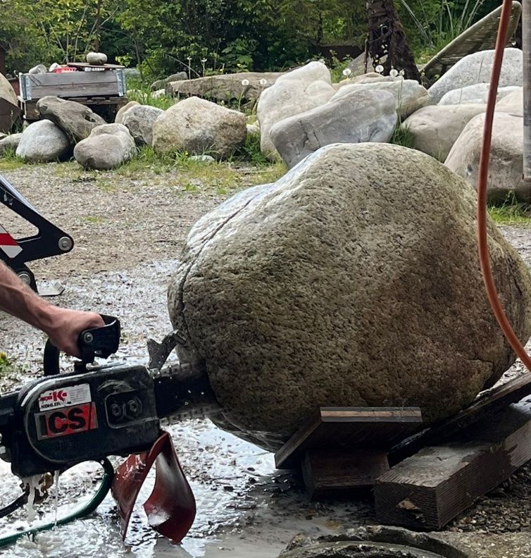 Toutes les machines: Stein säge motorsäge – D'occasion à Signau par reb_xv5t 4