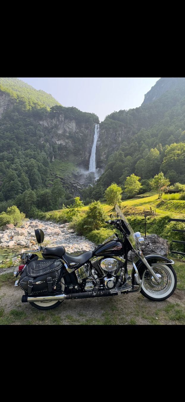 Harley-Davidson Chopper: Harley Davidson – Usato da Quartino venduto da vincent75hd 4
