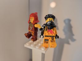 Lego Ninjago Arin & Wildfire