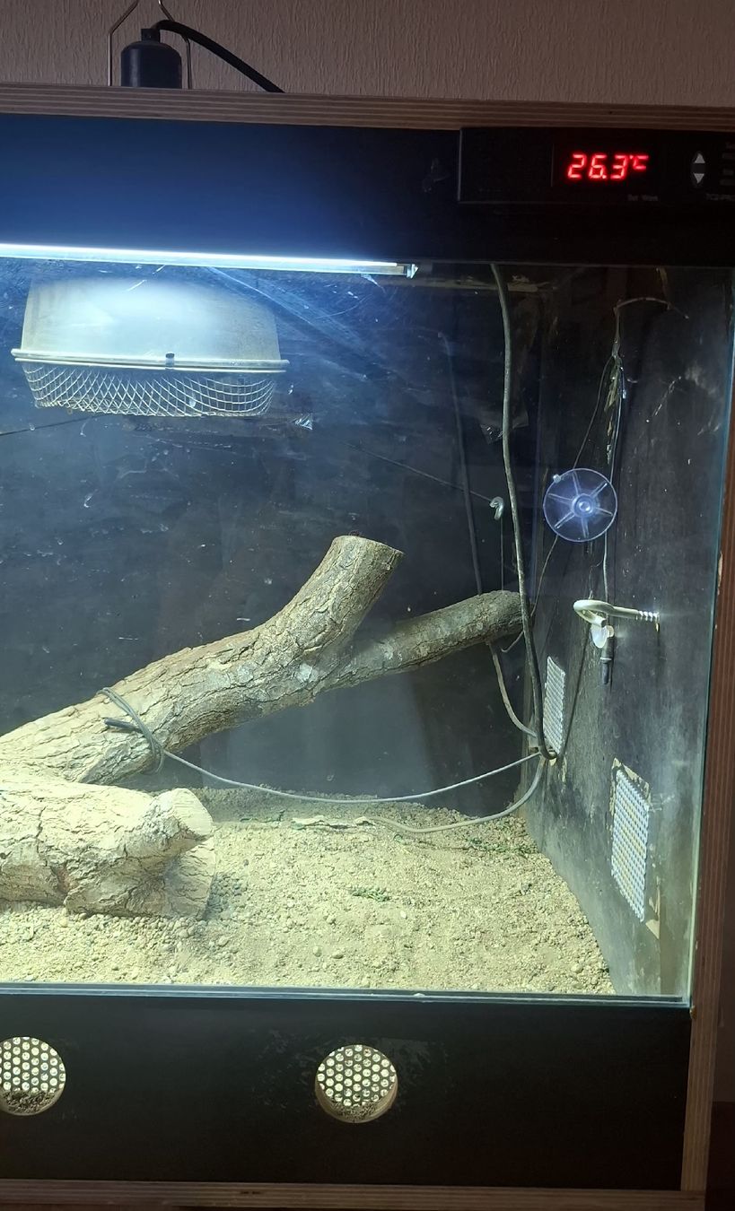 Terrarium: Terrarium complet pour Reptile – Gebraucht aus ONEX von lib_cg86
