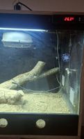 Terrarium complet pour Reptile
