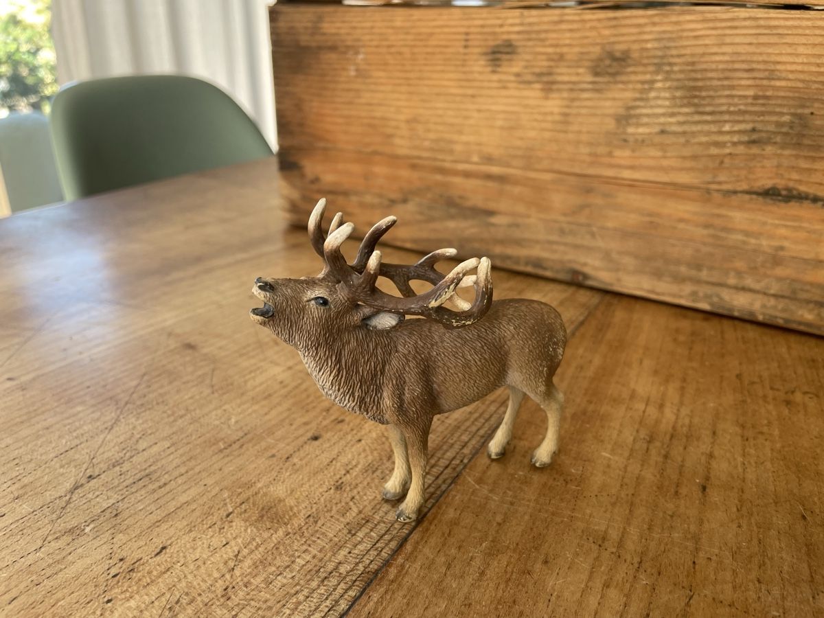 Schleich Jouets: Schleich Hirsch – D'occasion à Bonstetten par soleillle 1