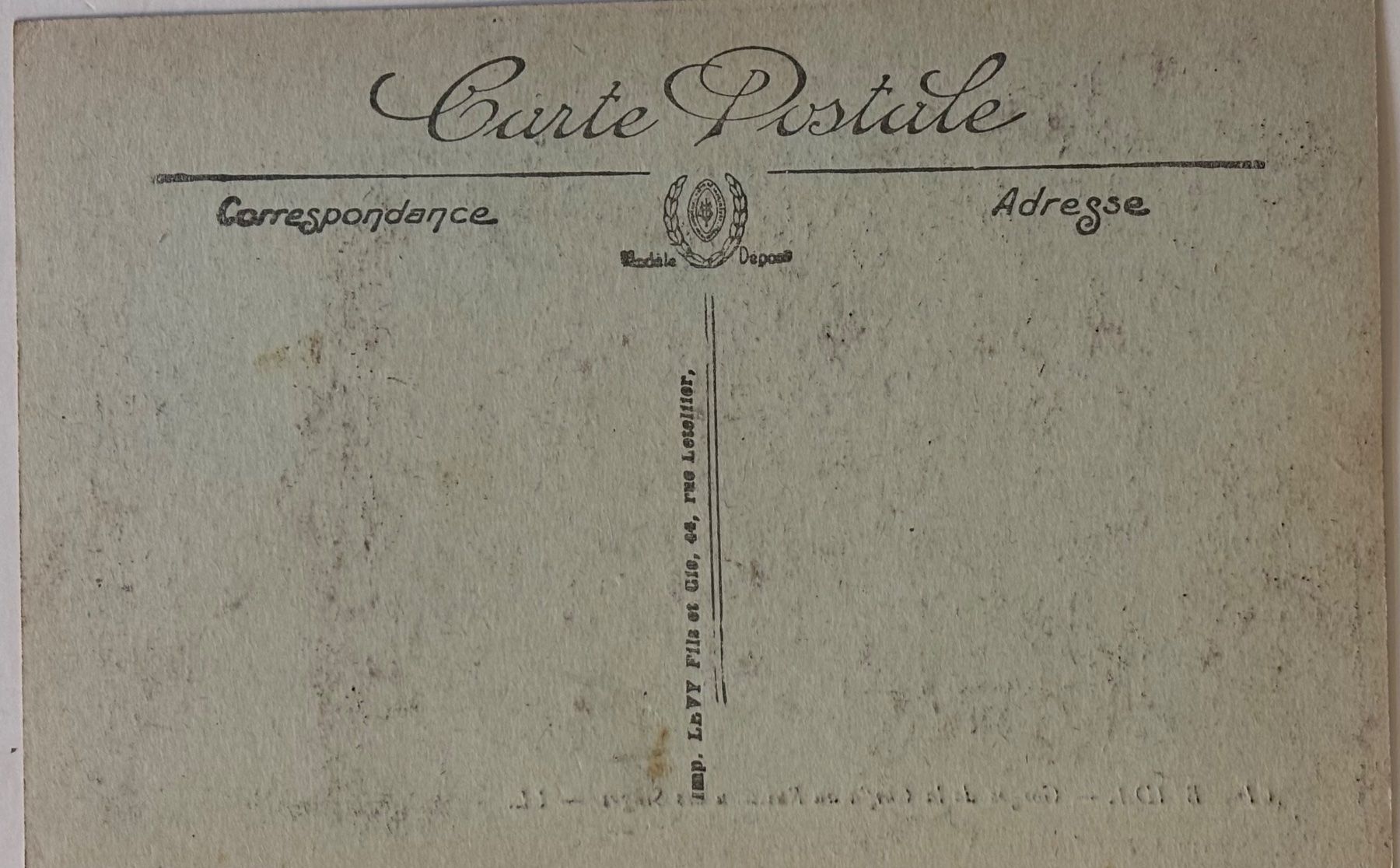 Cartes postales: Algerien, Blida, Affe – D'occasion à Frauenfeld par Merk52 1