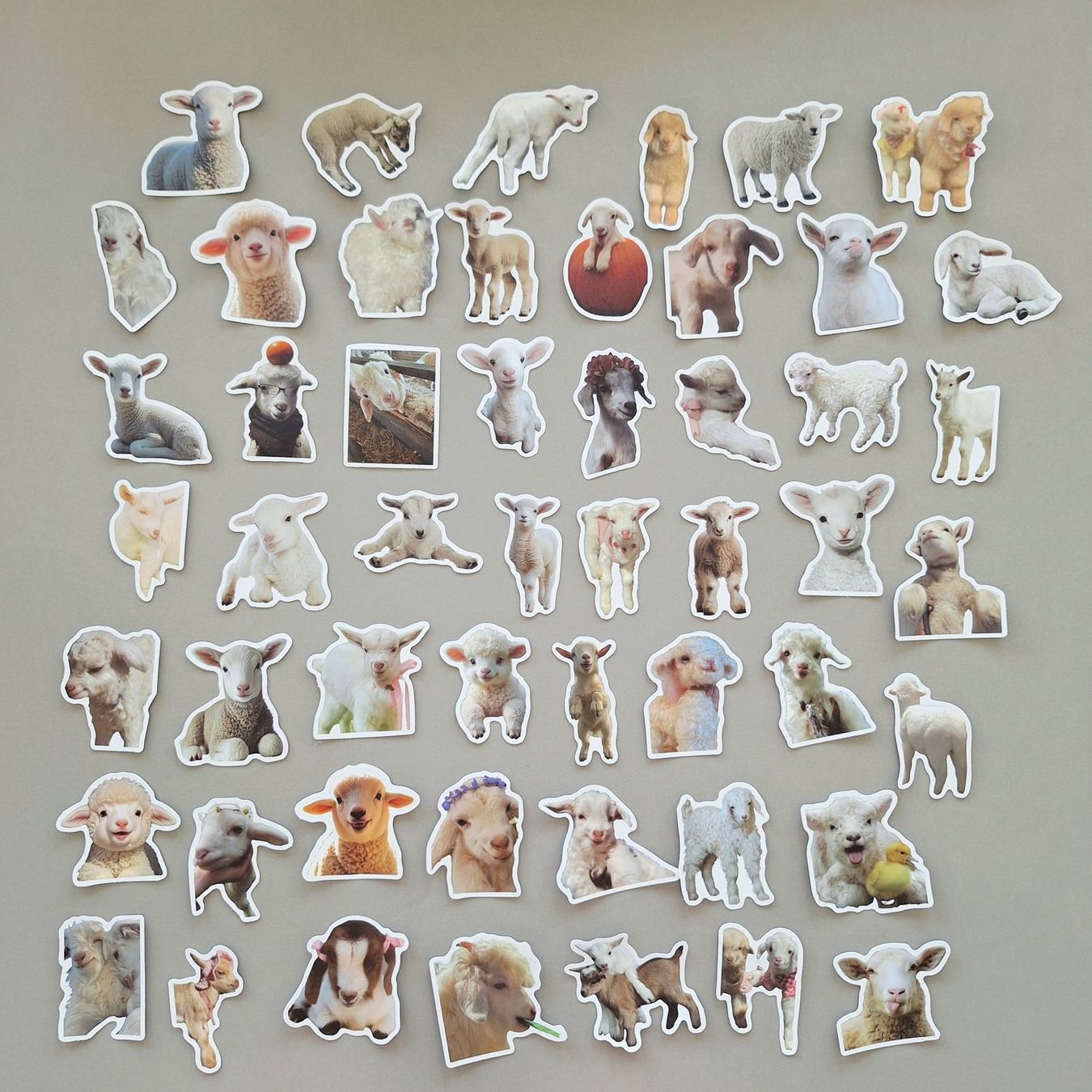 Sticker: 50 Aufkleber Sticker - Lamm Schaf – Nuovo e nell'imballaggio originale da Basel venduto da kun_2hnm