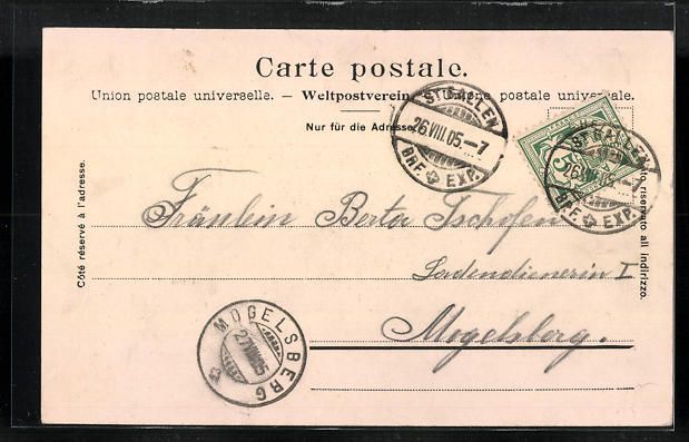 Cartoline postali: St. Gallen, Kantonsspital, Kinder-Pavill – Usato da Berlin venduto da bartko-reher 1