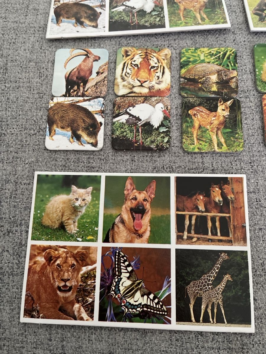 Giochi: Zoo-Lotto, Kinderspiel – Usato da Oberrieden venduto da Boccia1981 3
