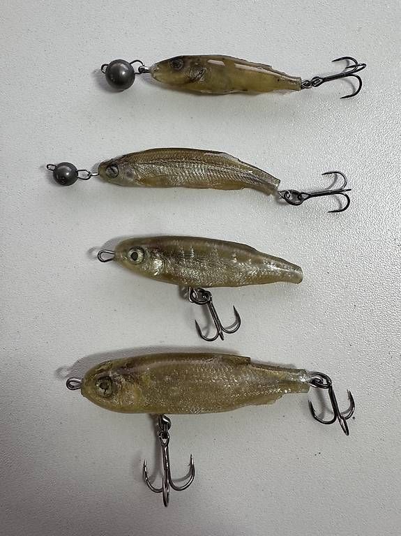 Esche: TwinLures / Wobbler – Usato da Dübendorf venduto da R007
