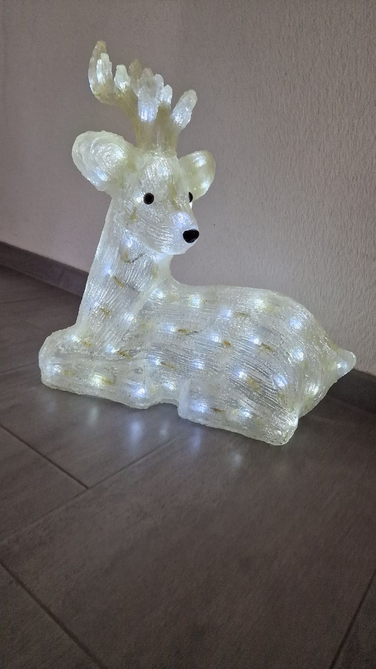 Tutte le decorazioni: Herziges Rentier leuchtend – Usato da Wil  AG venduto da Kfloh