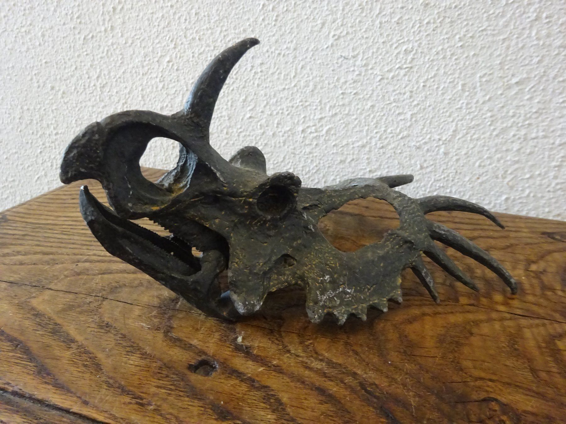 Fossili: Saurier Schädel – Usato da Esslingen venduto da eintagammeer