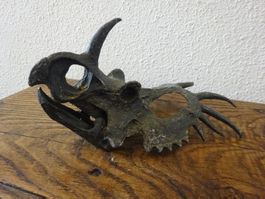 Saurier Schädel